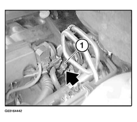 G03164442