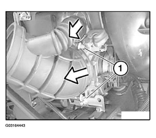 G03164443