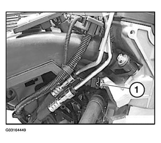 G03164449