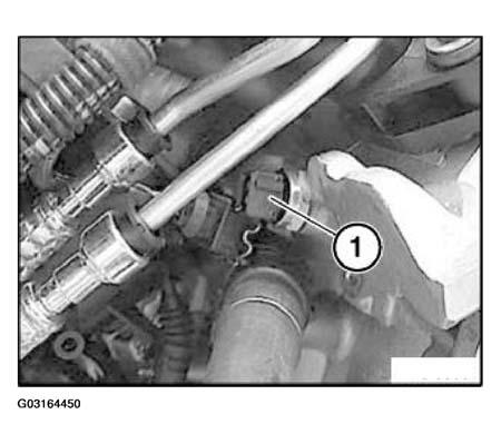 G03164450