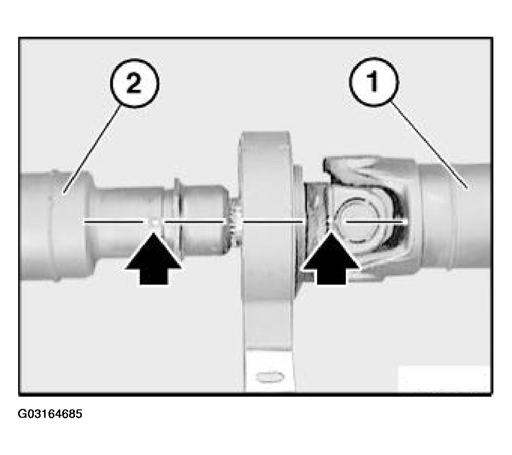 G03164685