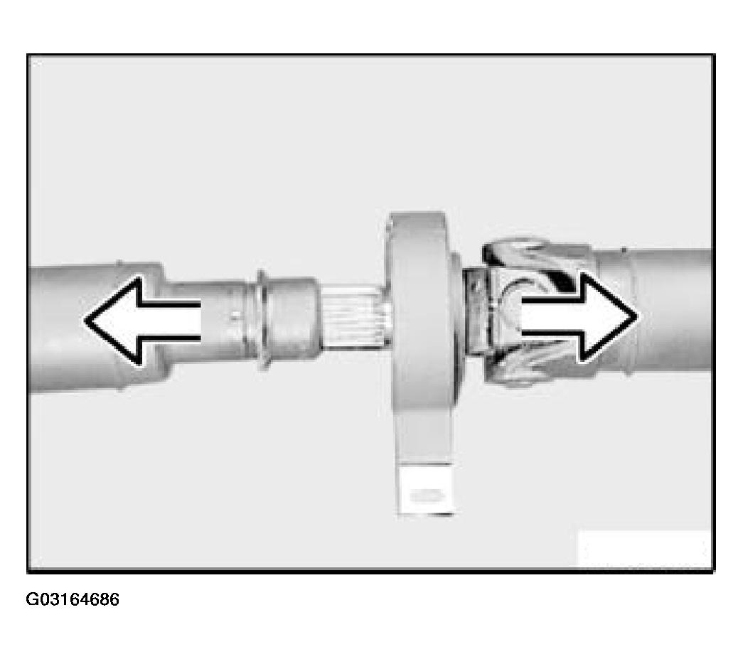 G03164686