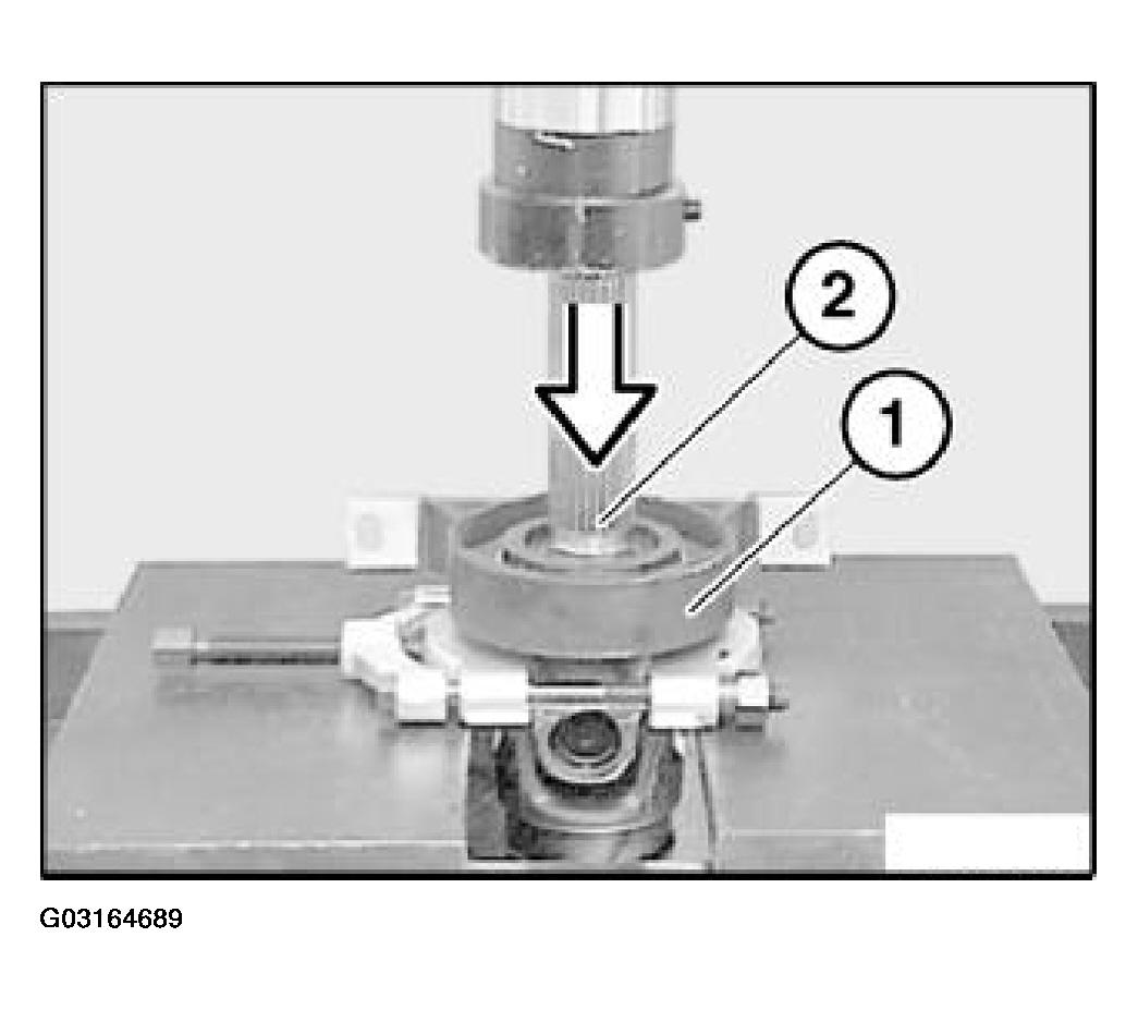 G03164689
