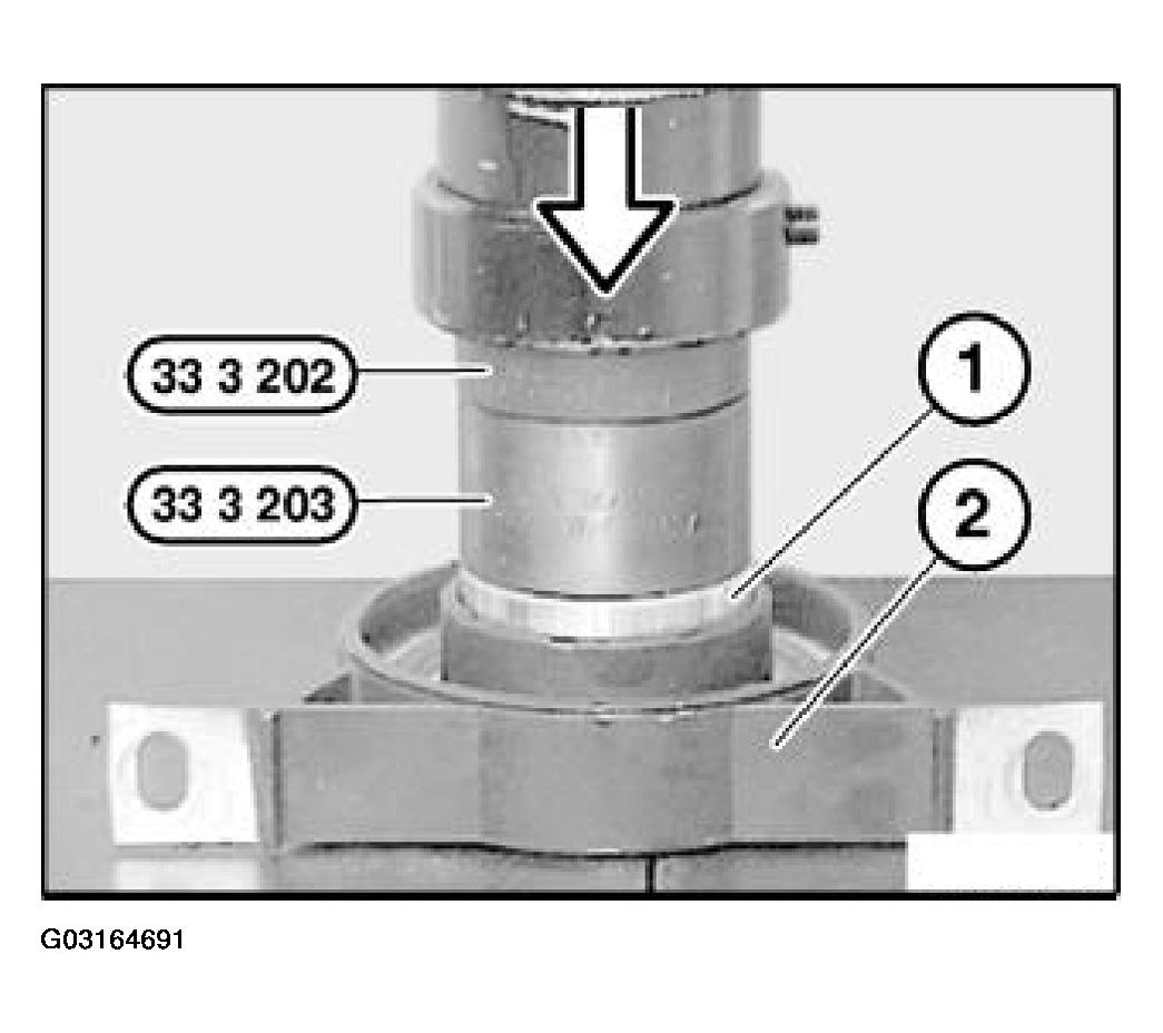 G03164691