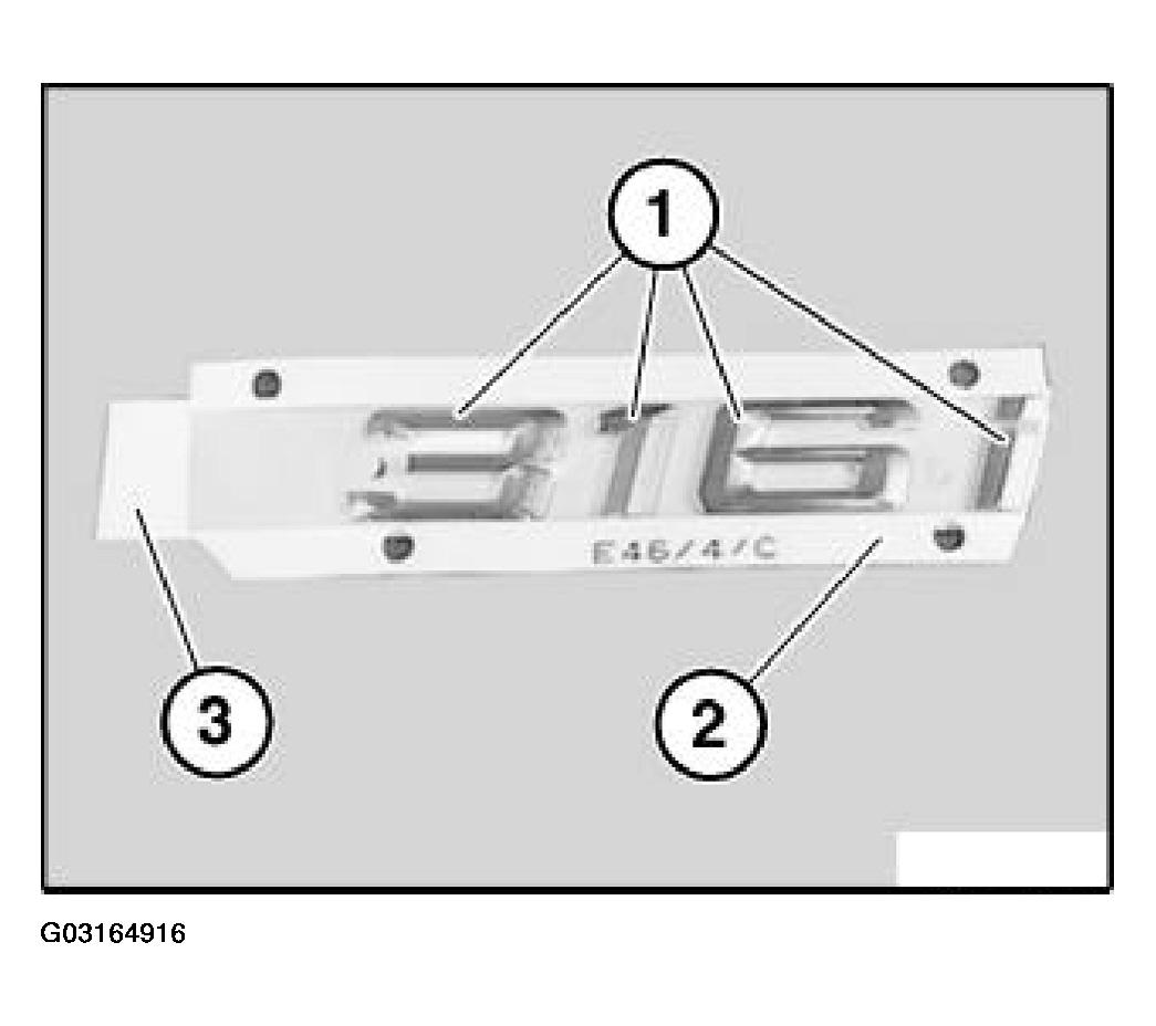 G03164916