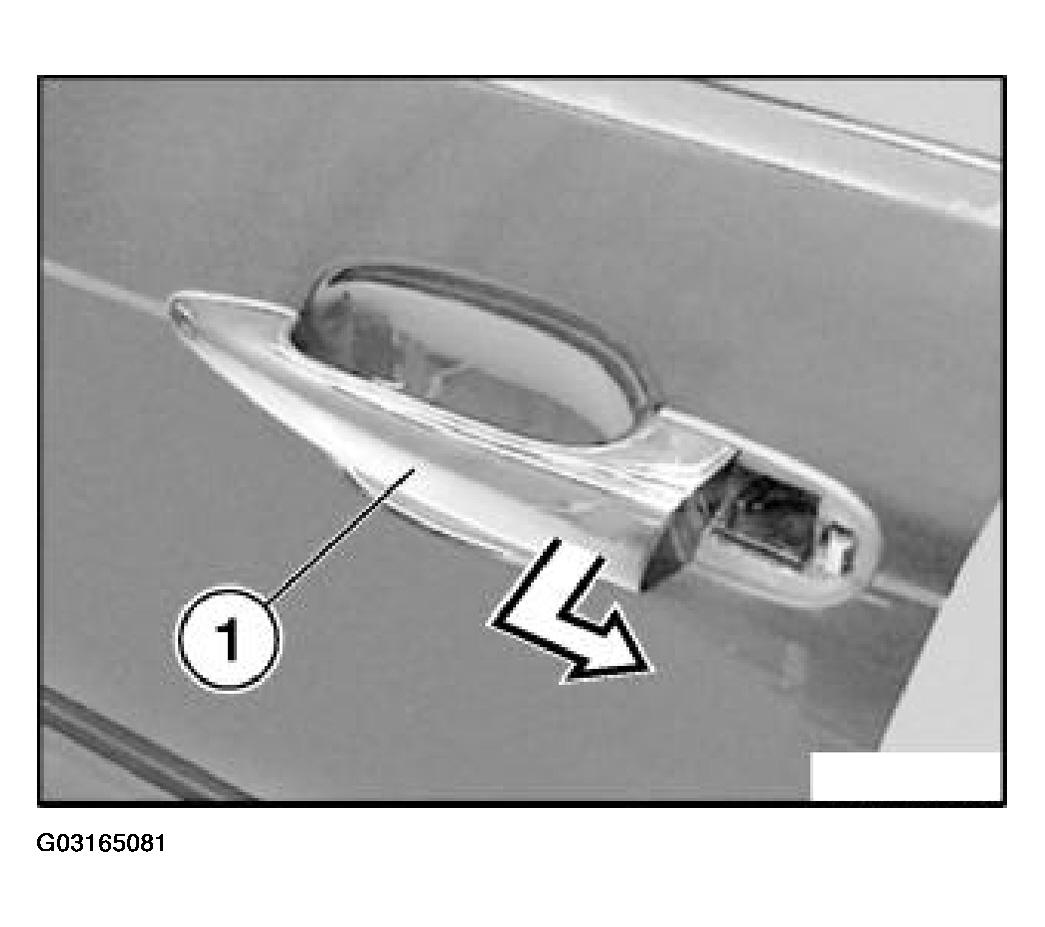 G03165081