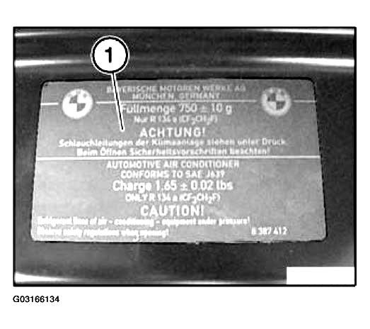 G03166134