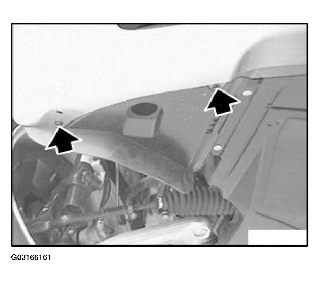 G03166161