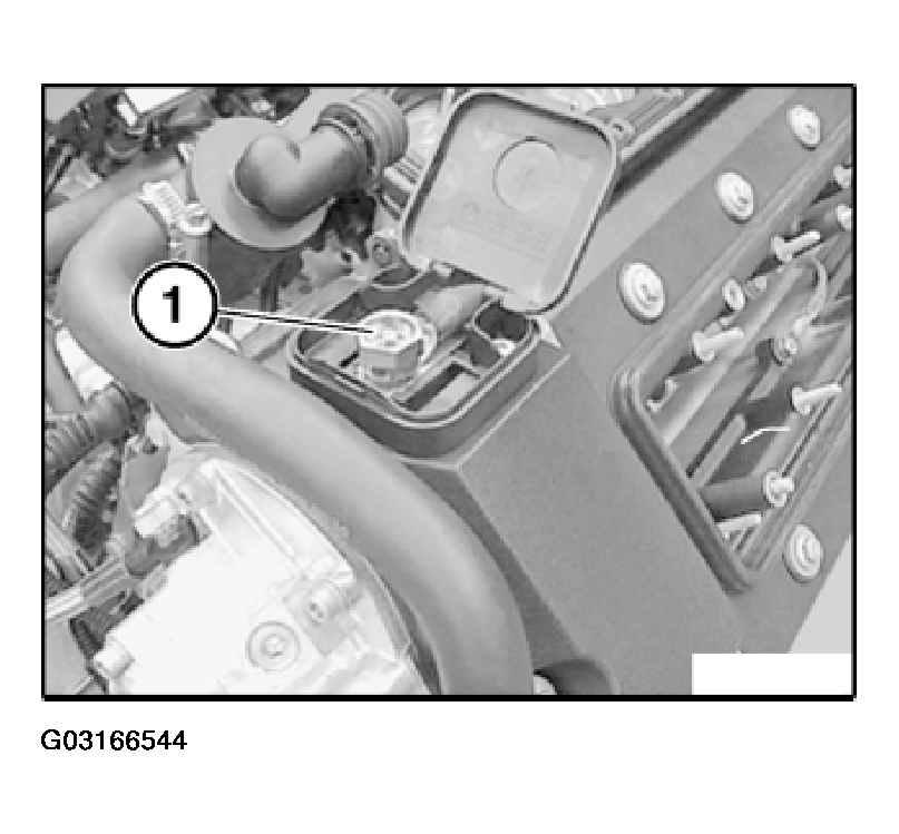 G03166544