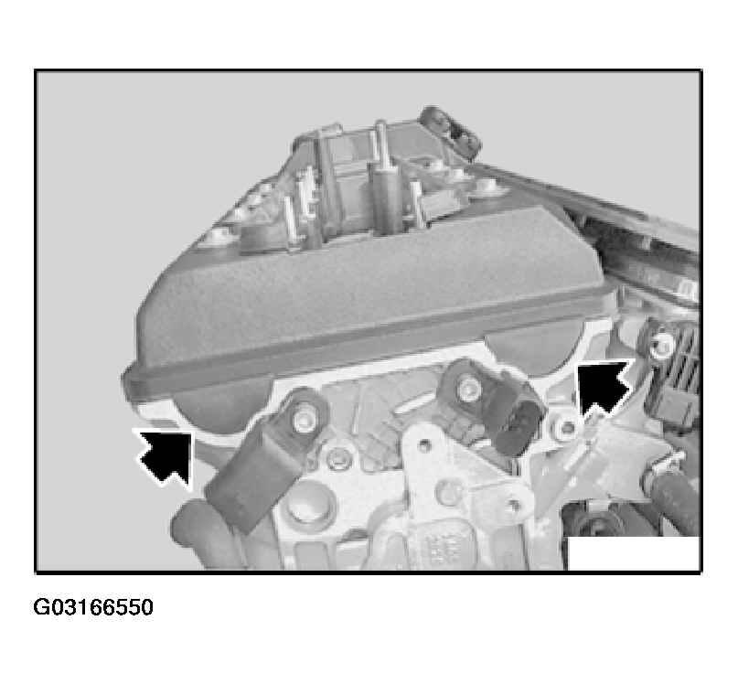G03166550