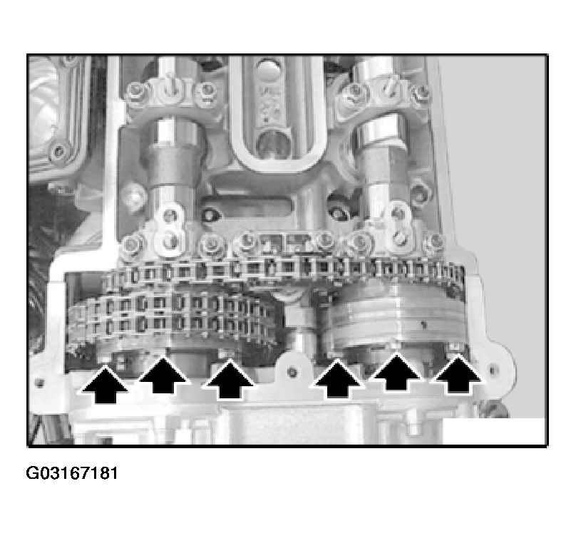 G03167181