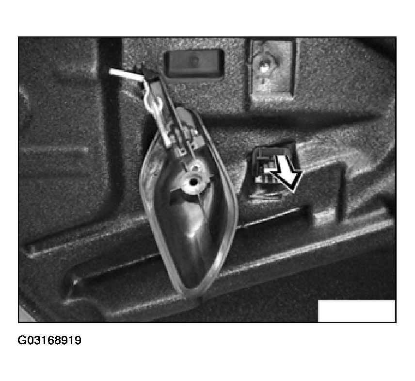 G03168919
