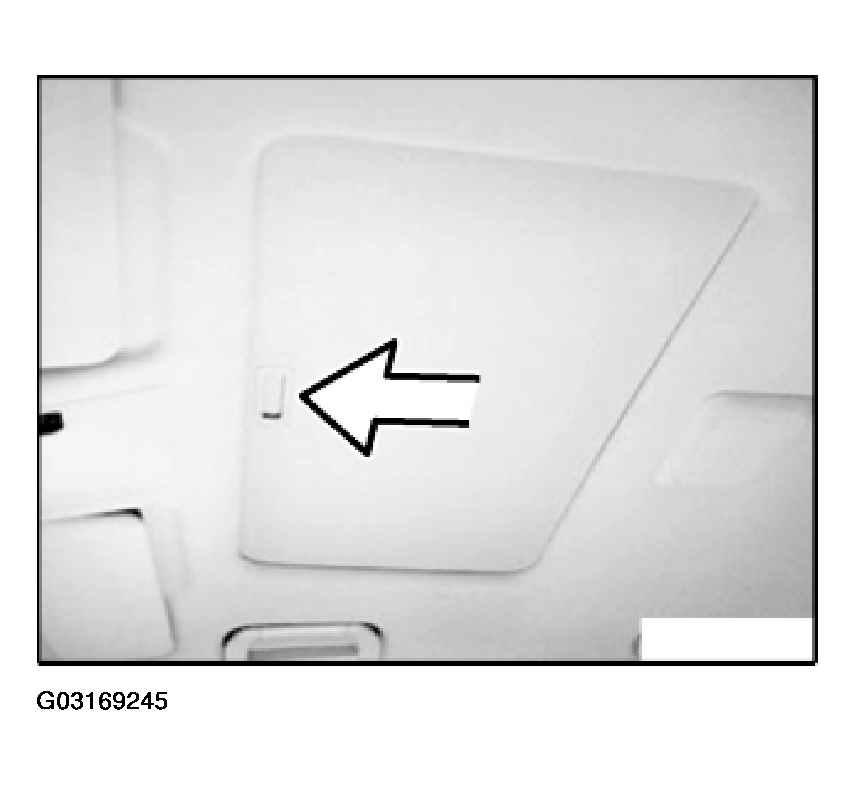 G03169245