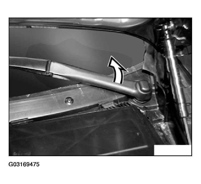 G03169475