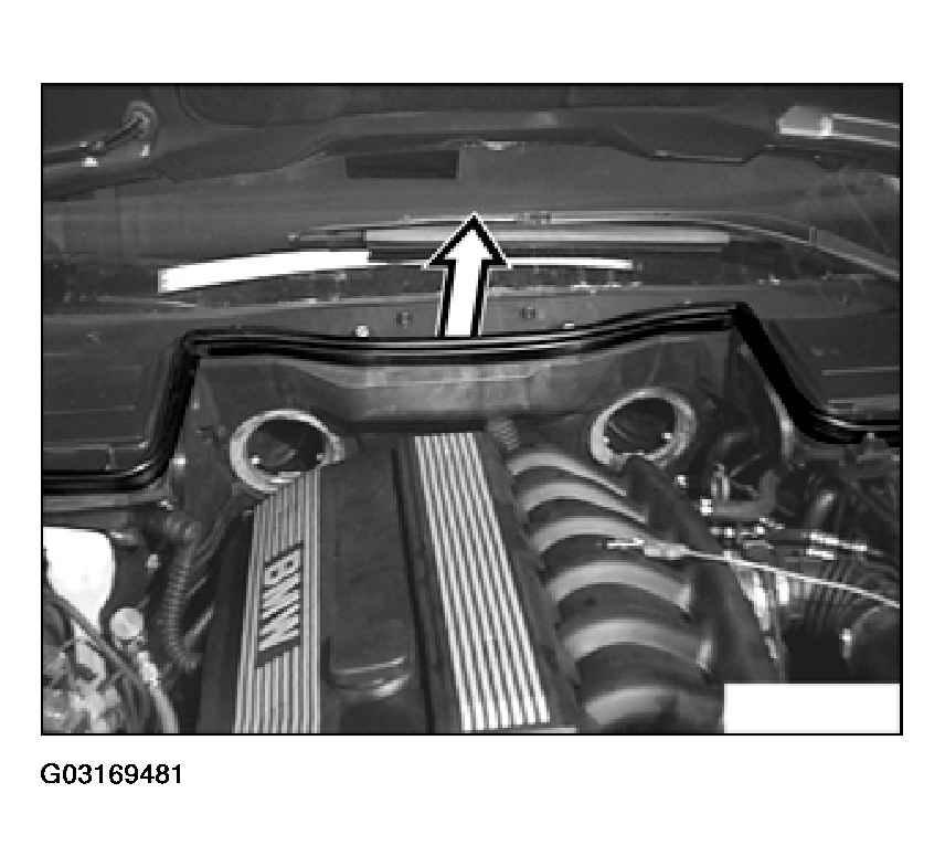 G03169481