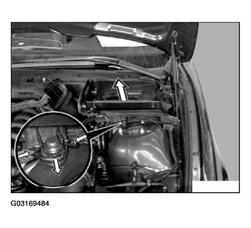 G03169484