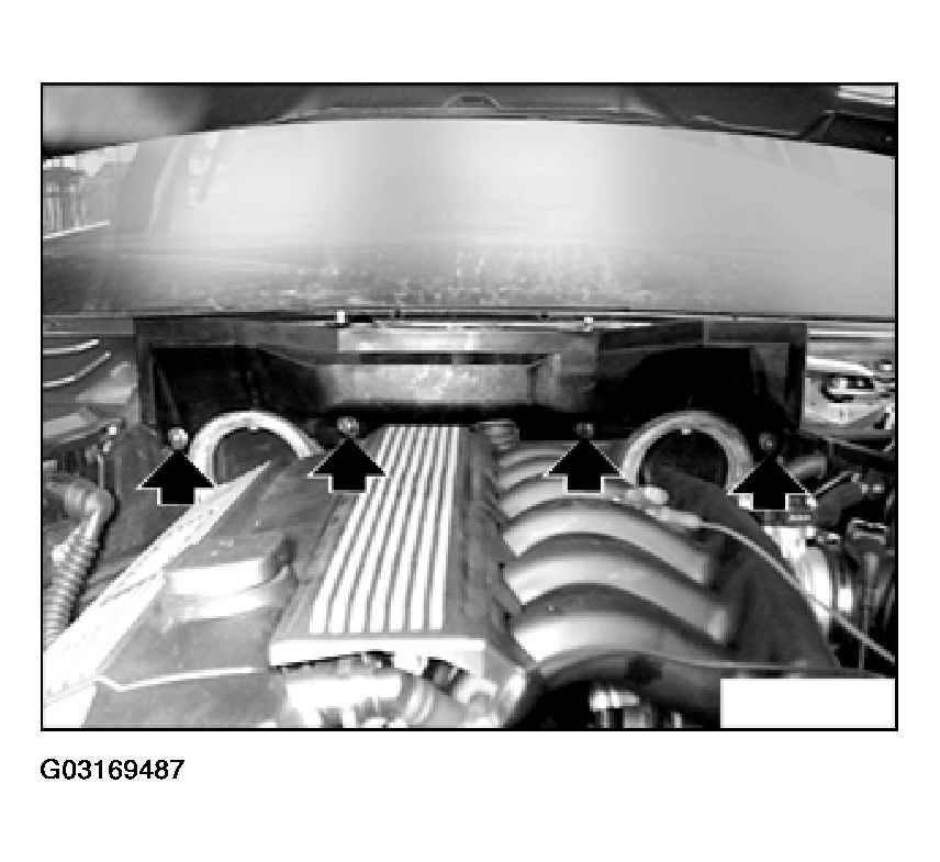 G03169487