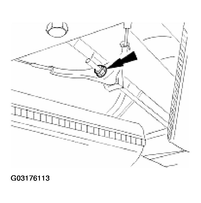 G03176113