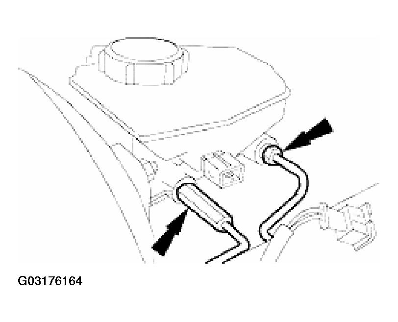 G03176164