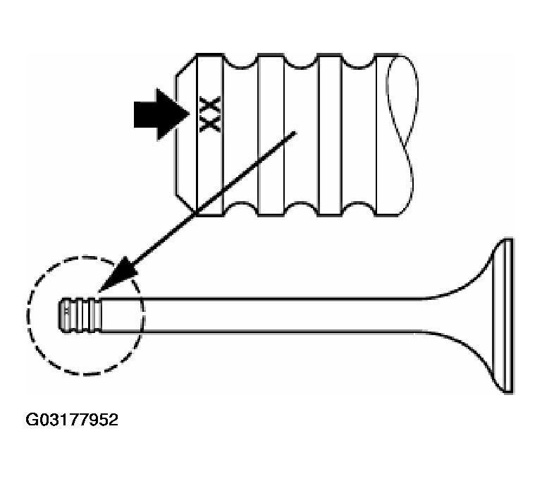 G03177952