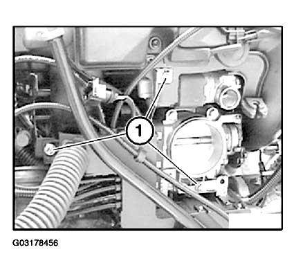G03178456
