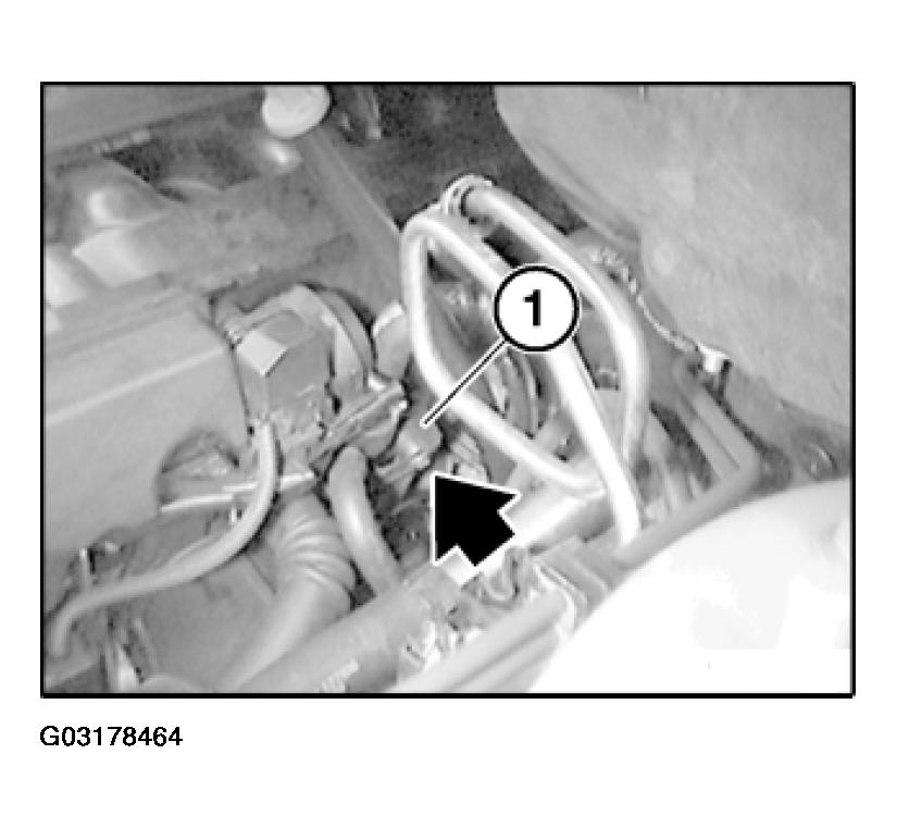G03178464
