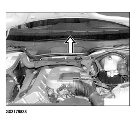 G03178838