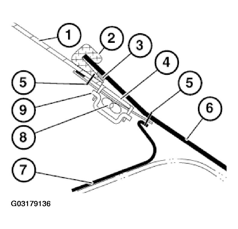 G03179136