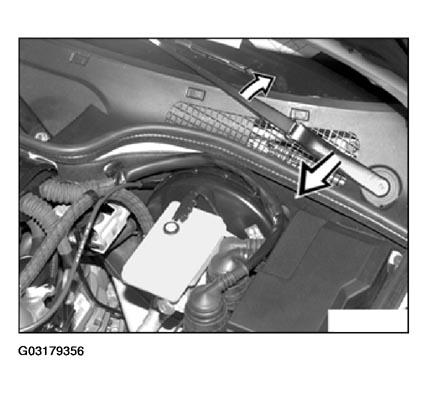 G03179356