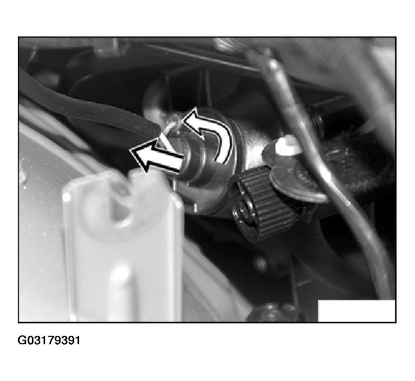 G03179391