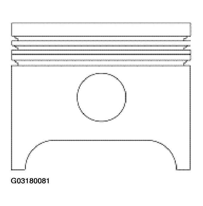 G03180081
