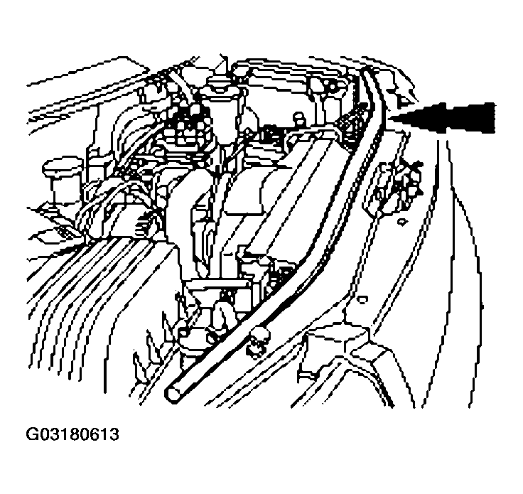 G03180613