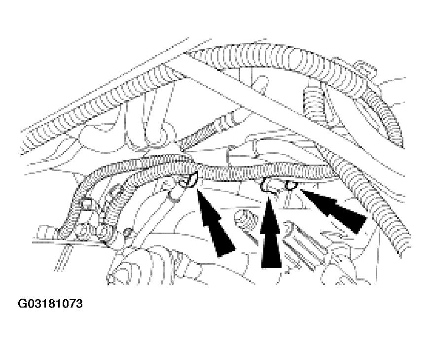 G03181073