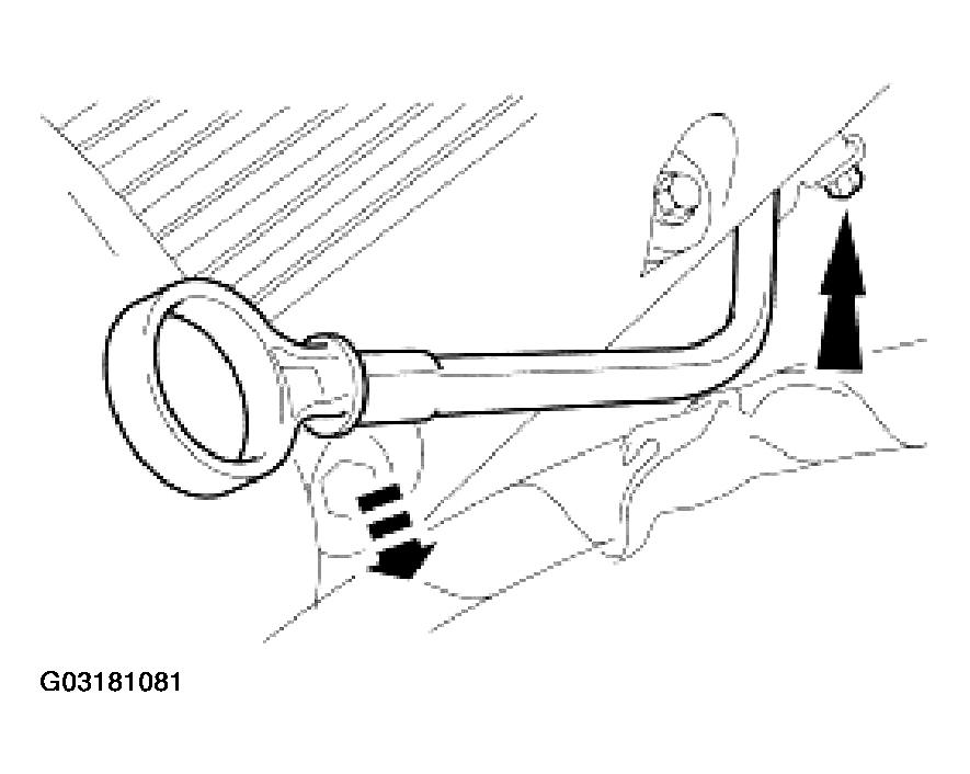 G03181081