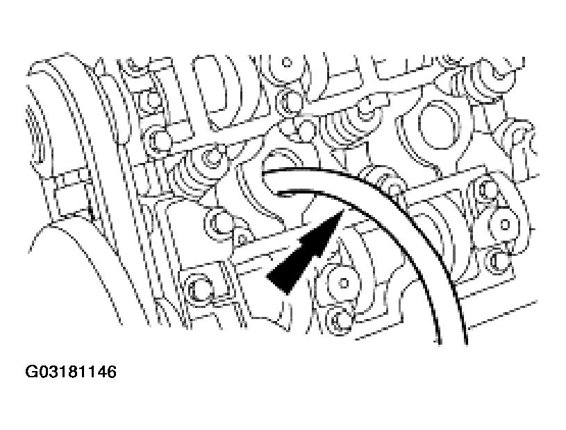 G03181146