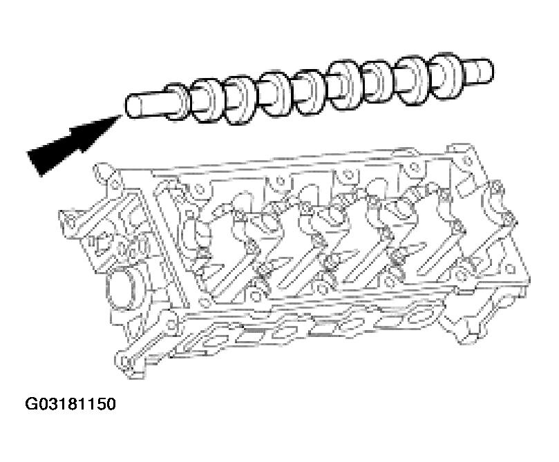 G03181150
