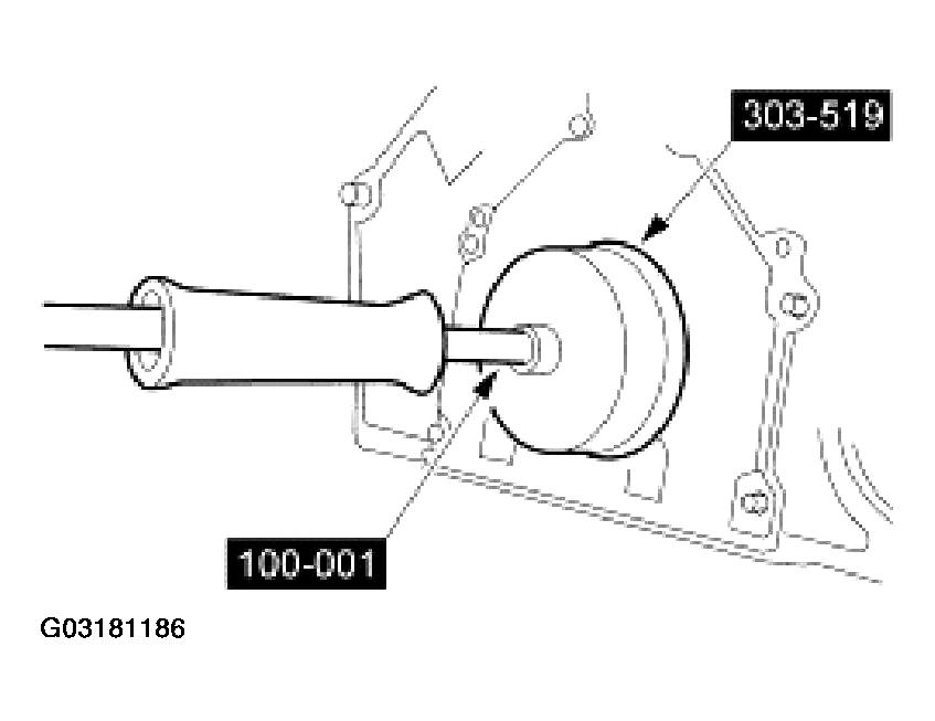G03181186