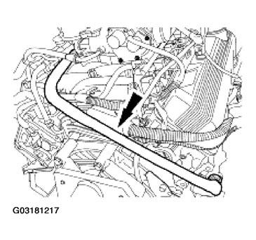 G03181217