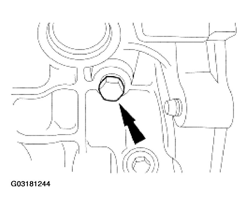 G03181244