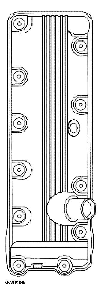 G03181246