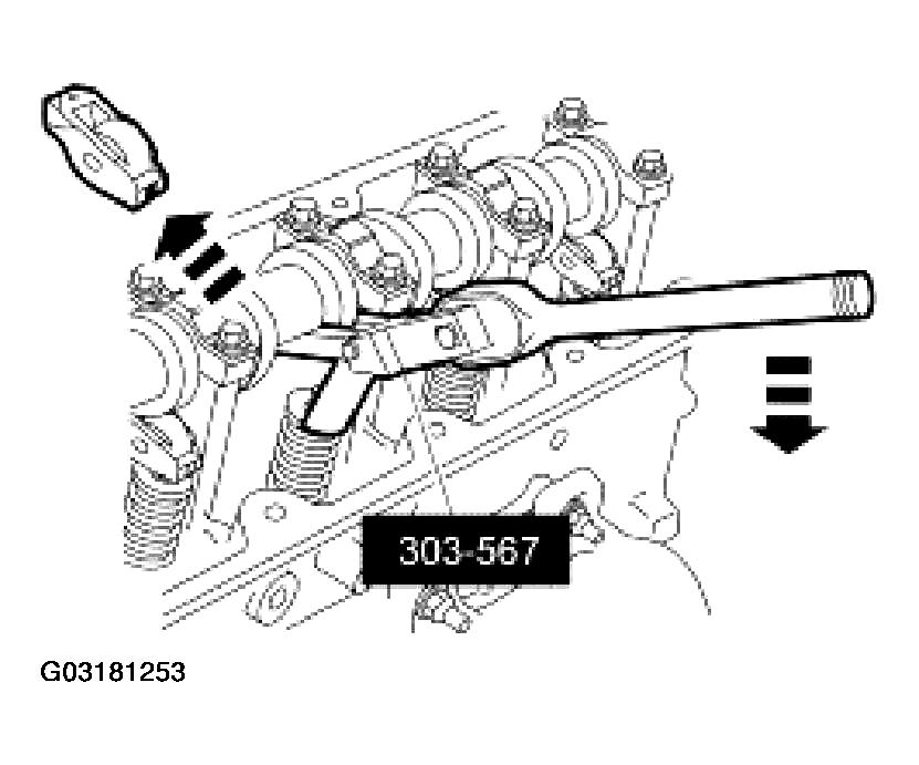 G03181253