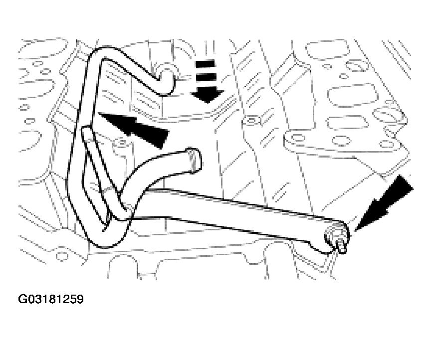 G03181259