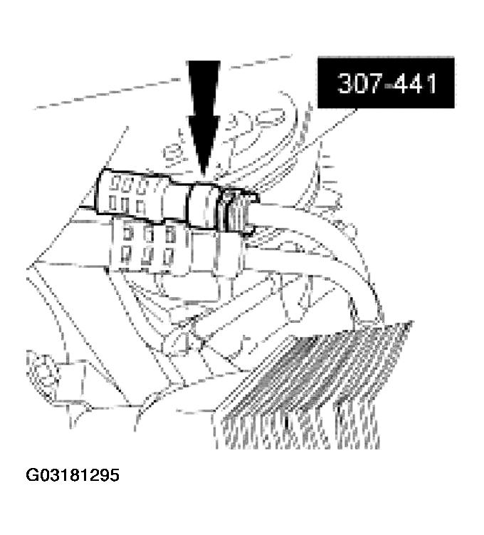 G03181295