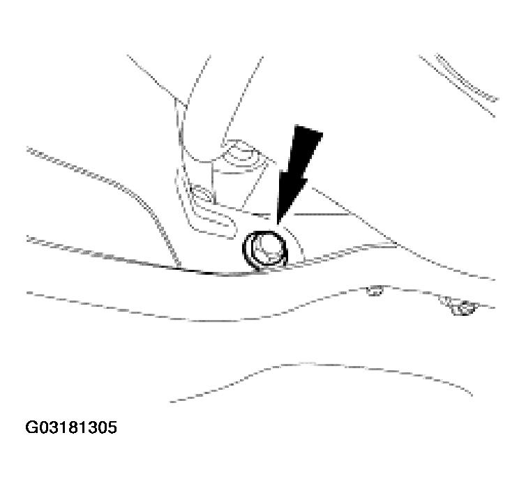 G03181305