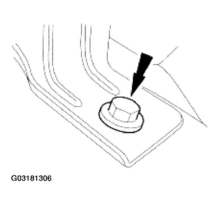 G03181306