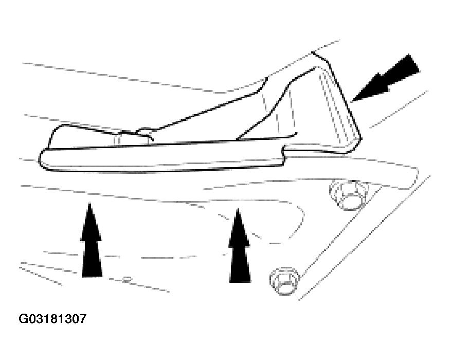 G03181307