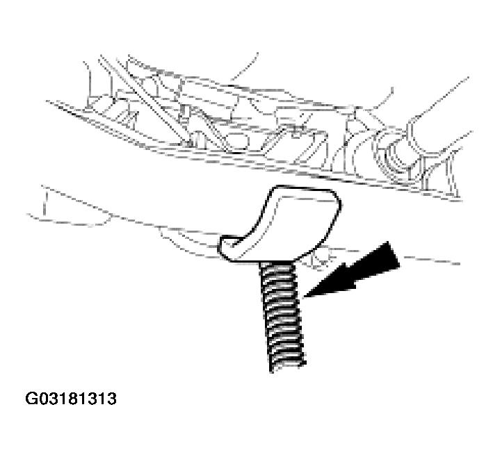 G03181313
