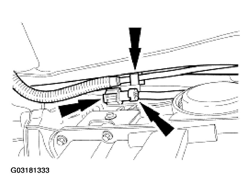 G03181333
