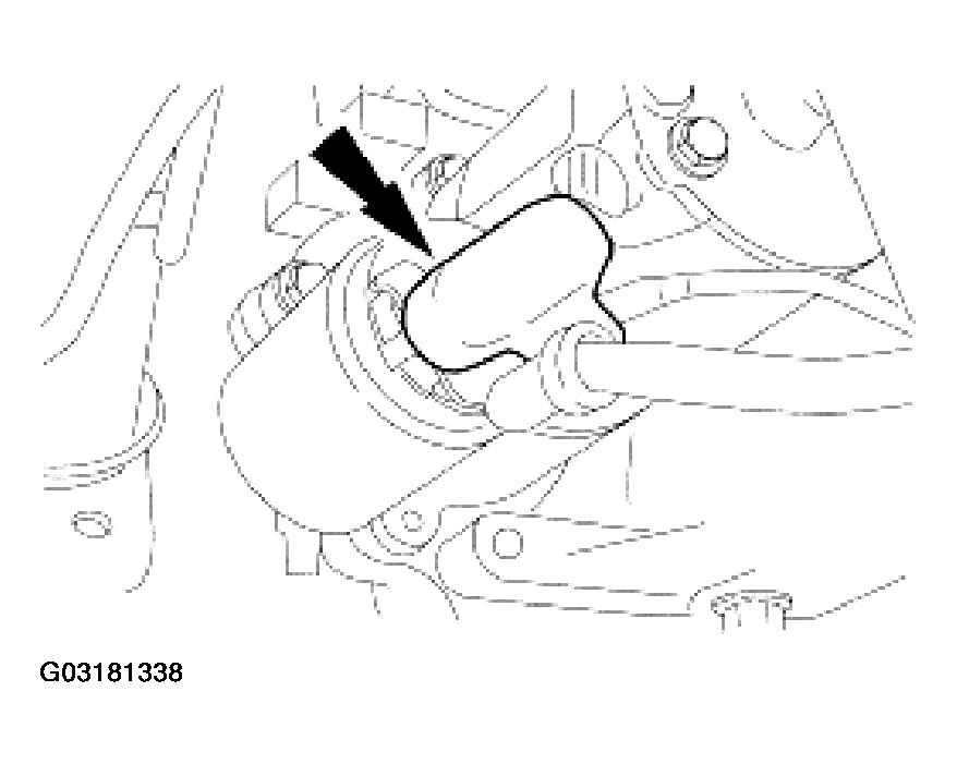 G03181338