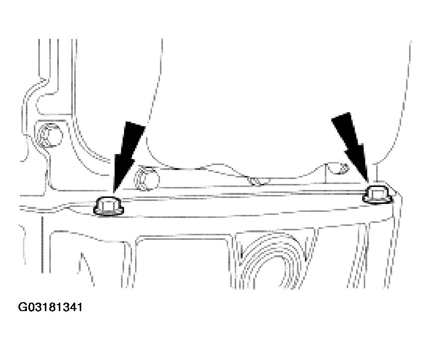 G03181341